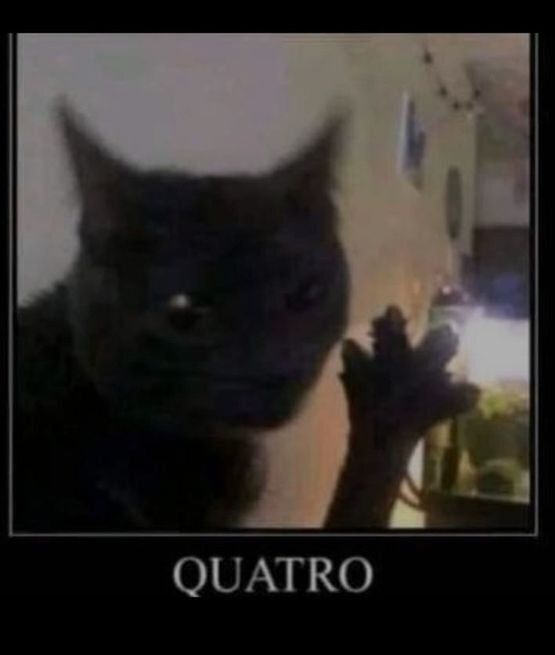 random-image